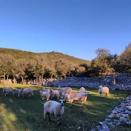 Appartamento Stella Maris Mali Lošinj